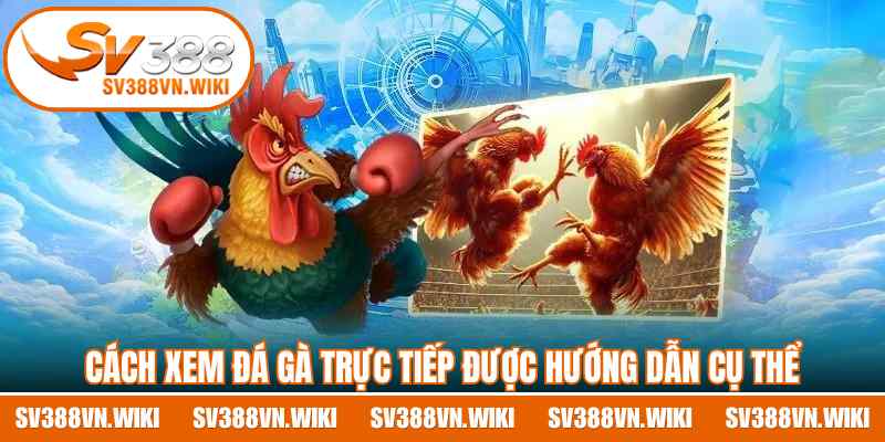 Cách xem đá gà trực tiếp được hướng dẫn cụ thể