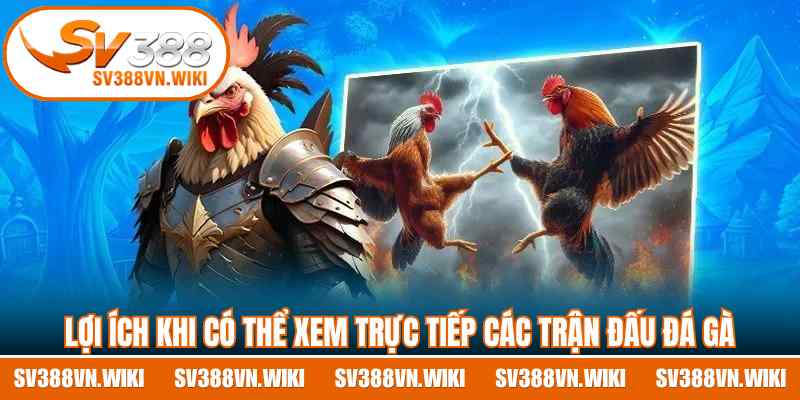Lợi ích khi có thể xem trực tiếp các trận đấu đá gà