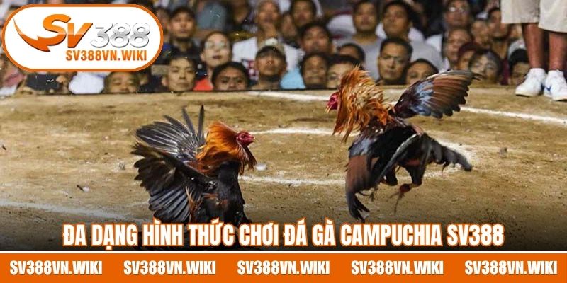 Đa dạng hình thức chơi đá gà Campuchia SV388
