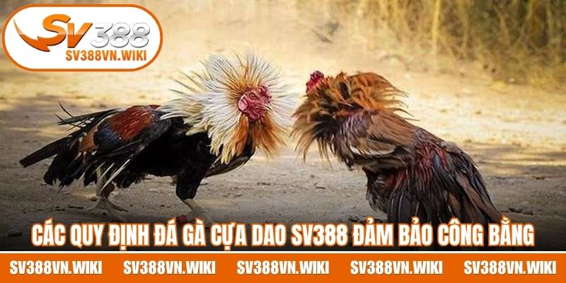 Các quy định đá gà cựa dao SV388 đảm bảo công bằng