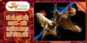 Đá Gà Cựa Sắt SV388 - Đấu Trường Nghẹt Thở Từng Giây
