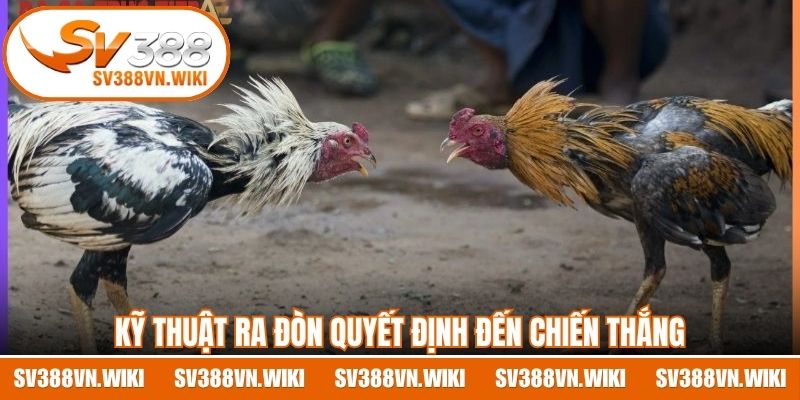 Kỹ thuật ra đòn quyết định đến chiến thắng