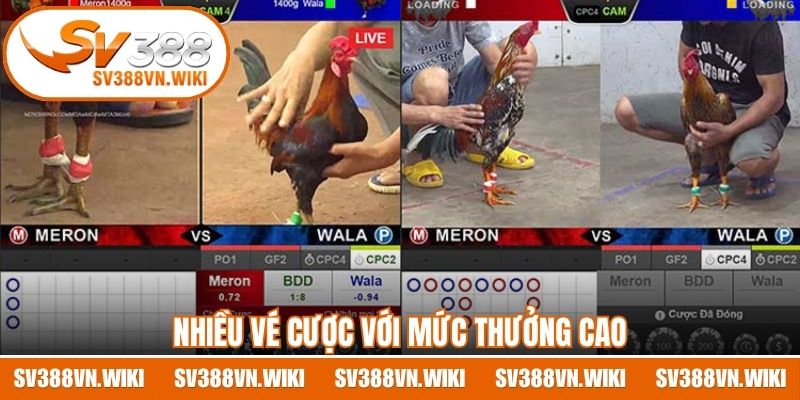 Nhiều vé cược với mức thưởng cao