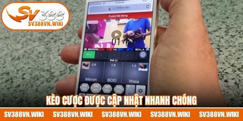 Kèo cược được cập nhật nhanh chóng