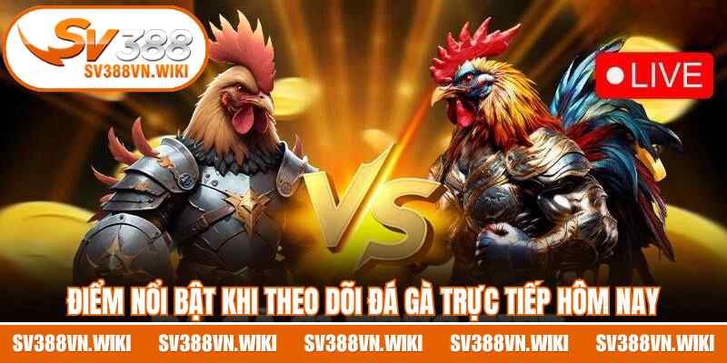 Điểm nổi bật khi theo dõi đá gà trực tiếp hôm nay