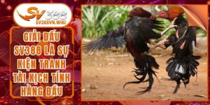 Giải Đấu SV388 Là Sự Kiện Tranh Tài Kịch Tính Hàng Đầu