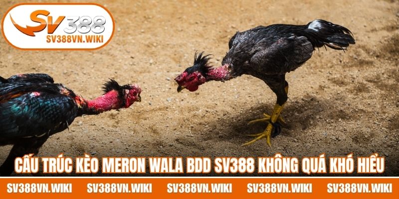 Cấu trúc kèo Meron Wala BDD SV388 không quá khó hiểu
