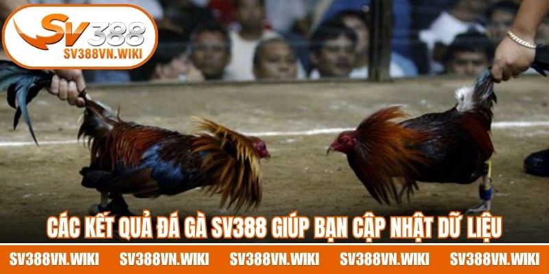 Các kết quả đá gà SV388 giúp bạn cập nhật dữ liệu