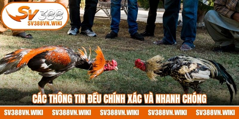 Các thông tin đều chính xác và nhanh chóng