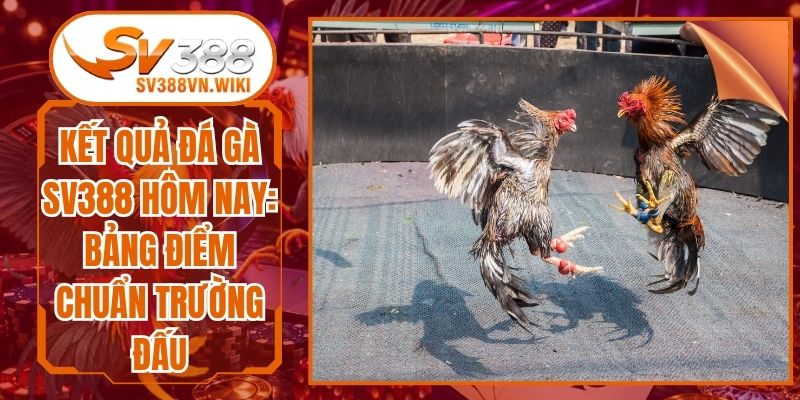 Kết Quả Đá Gà SV388 Hôm Nay: Bảng Điểm Chuẩn Trường Đấu