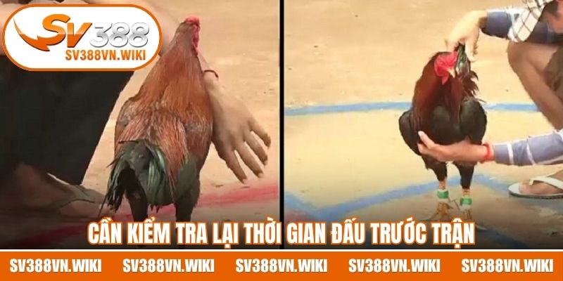 Cần kiểm tra lại thời gian đấu trước trận