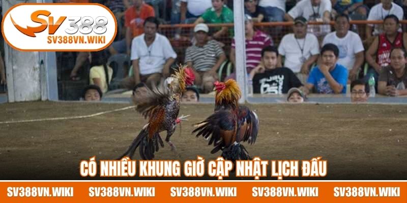 Có nhiều khung giờ cập nhật lịch đấu