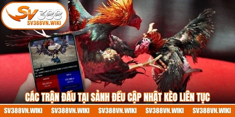 Thiết kế bàn cược thân thiện