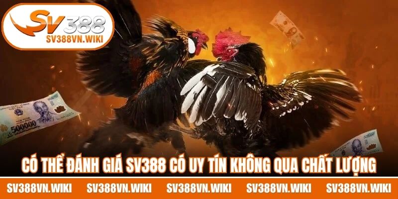 Có thể đánh giá SV388 có uy tín không qua chất lượng