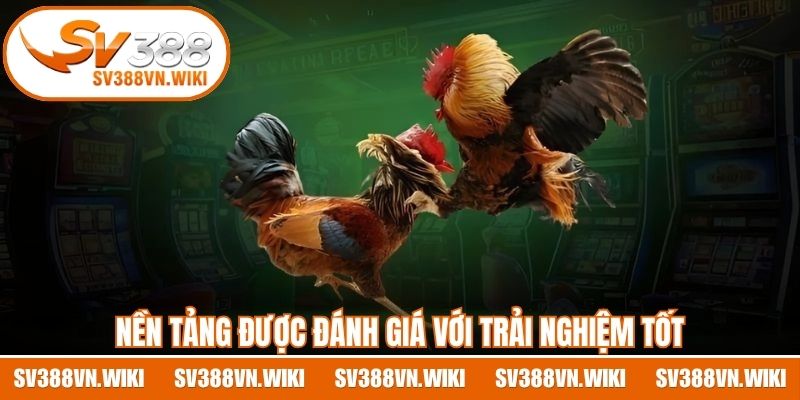 Nền tảng được đánh giá với trải nghiệm tốt