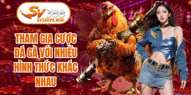 Tham gia cược đá gà với nhiều hình thức khác nhau